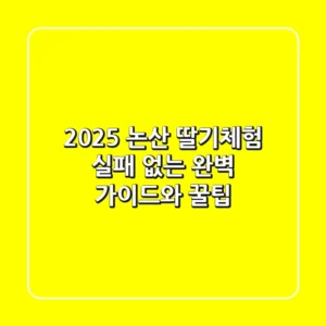 2025 논산 딸기체험: 실패 없는 완벽 가이드와 꿀팁