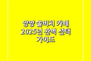 양양 쏠비치 카페, 2025년 완벽 선택 가이드