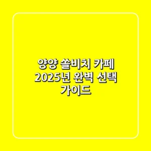 양양 쏠비치 카페, 2025년 완벽 선택 가이드