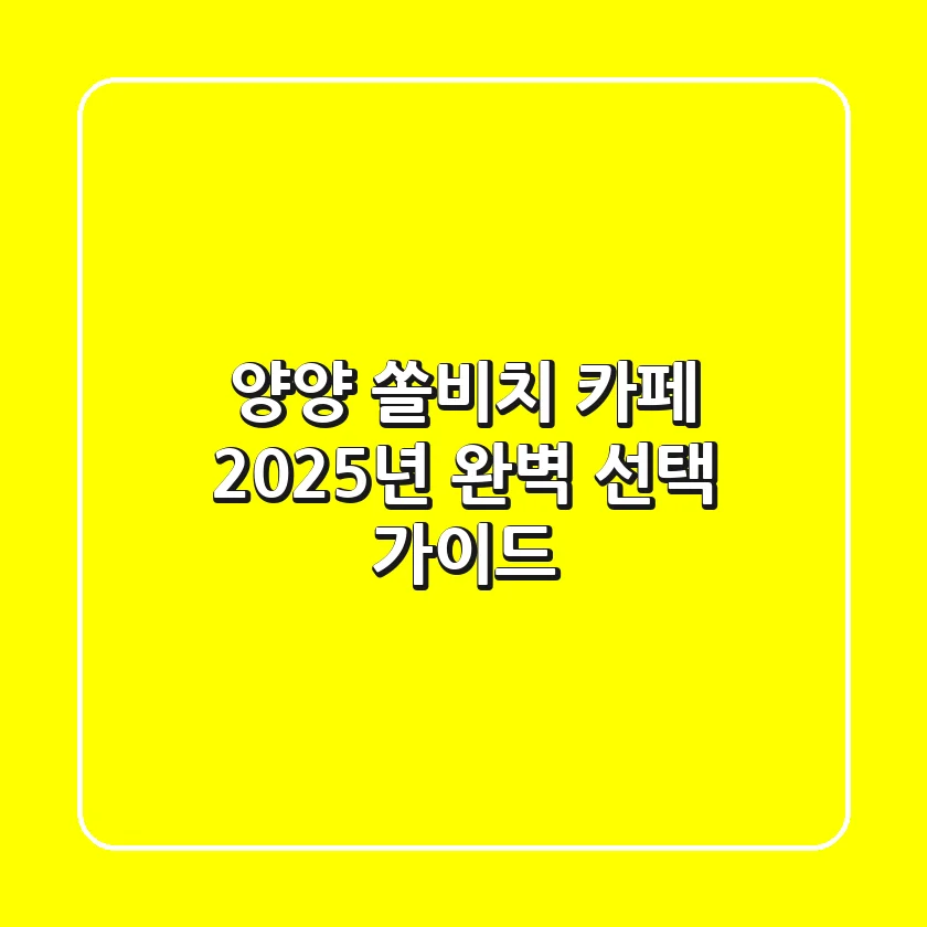 양양 쏠비치 카페, 2025년 완벽 선택 가이드