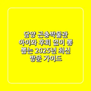 담양 곤충박물관, 아이와 후회 없이 뽕 뽑는 2025년 최신 방문 가이드