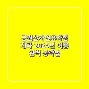 금원산자연휴양림 계곡, 2025년 여름 완벽 공략법