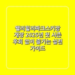 웰리힐리파크스키장 개장: 2025년 첫 시즌, 후회 없이 즐기는 실전 가이드