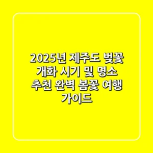 2025년 제주도 벚꽃 개화 시기 및 명소 추천: 완벽 봄꽃 여행 가이드