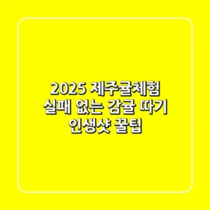 2025 제주귤체험: 실패 없는 감귤 따기 인생샷 꿀팁