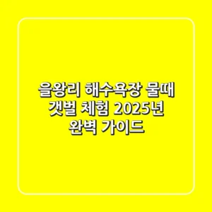 을왕리 해수욕장 물때, 갯벌 체험 2025년 완벽 가이드