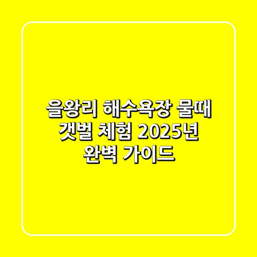 을왕리 해수욕장 물때, 갯벌 체험 2025년 완벽 가이드
