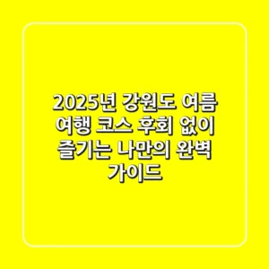 2025년 강원도 여름 여행 코스, 후회 없이 즐기는 나만의 완벽 가이드