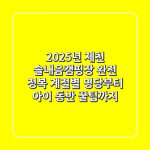 2025년 제천 솔내음캠핑장 완전 정복: 계절별 명당부터 아이 동반 꿀팁까지!