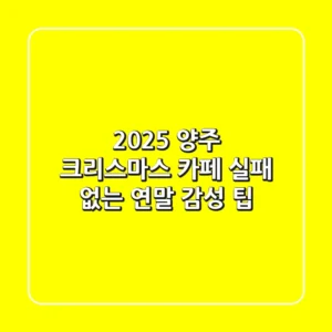 🎄2025 양주 크리스마스 카페: 실패 없는 연말 감성 팁