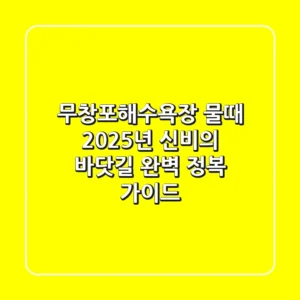 무창포해수욕장 물때 2025년, 신비의 바닷길 완벽 정복 가이드!