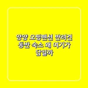 양양 오핑펜션: 반려견 동반 숙소, 왜 여기가 답일까?