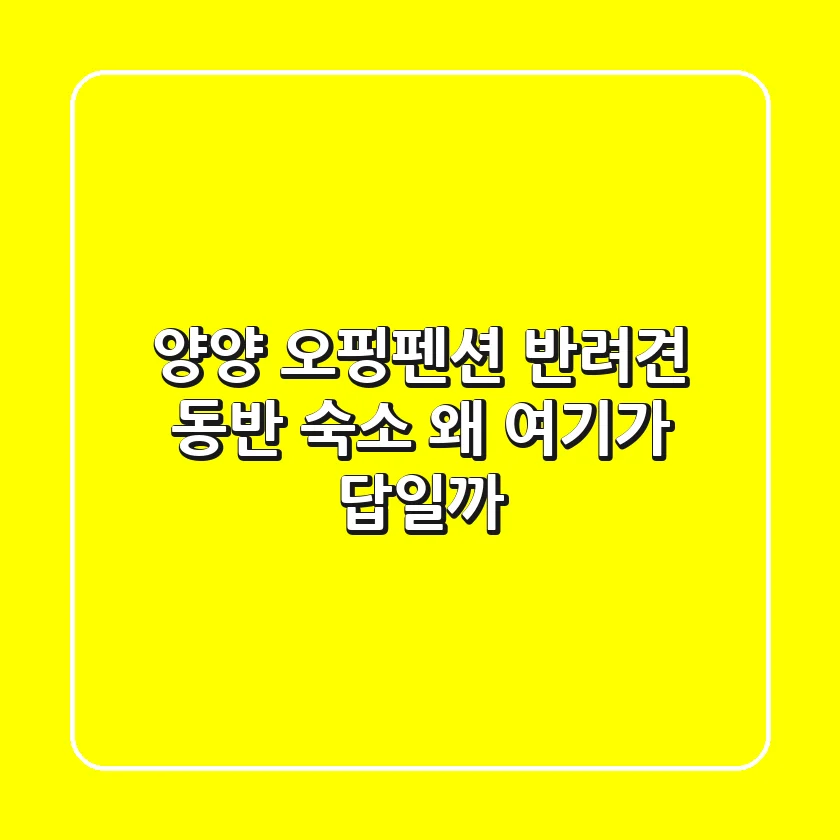 양양 오핑펜션: 반려견 동반 숙소, 왜 여기가 답일까?