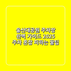 울산대공원 주차장 완벽 가이드 2025: 주차 혼잡 피하는 꿀팁!