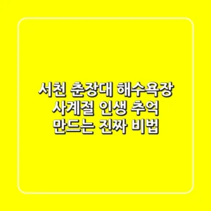 서천 춘장대 해수욕장, 사계절 인생 추억 만드는 진짜 비법