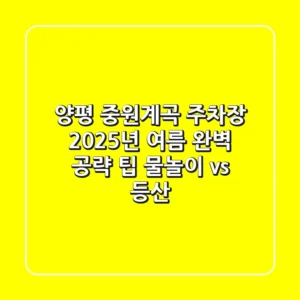 양평 중원계곡 주차장, 2025년 여름 완벽 공략 팁 (물놀이 vs 등산)