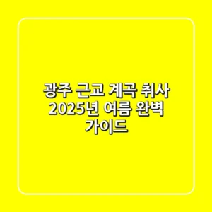 광주 근교 계곡 취사, 2025년 여름 완벽 가이드