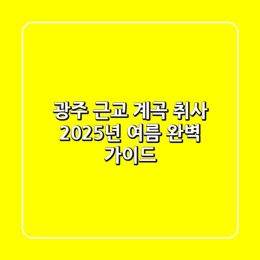 광주 근교 계곡 취사, 2025년 여름 완벽 가이드