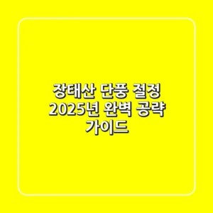 장태산 단풍 절정: 2025년 완벽 공략 가이드!