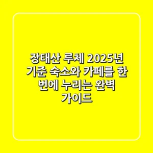 장태산 루체: 2025년 기준, 숙소와 카페를 한 번에 누리는 완벽 가이드!