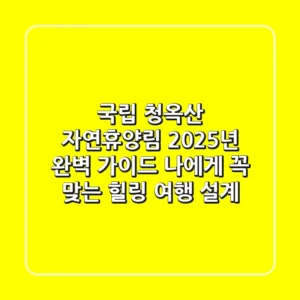 국립 청옥산 자연휴양림, 2025년 완벽 가이드: 나에게 꼭 맞는 힐링 여행 설계!