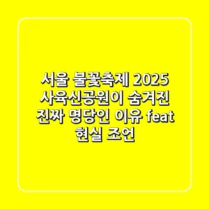 서울 불꽃축제 2025, 사육신공원이 숨겨진 진짜 명당인 이유 (feat. 현실 조언)
