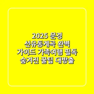 2025 문경 선유동계곡 완벽 가이드: 가족여행 필독! 숨겨진 꿀팁 대방출