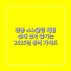 강릉 스노쿨링 체험, 실패 없이 즐기는 2025년 완벽 가이드