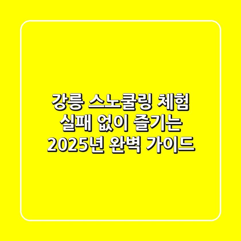 강릉 스노쿨링 체험, 실패 없이 즐기는 2025년 완벽 가이드