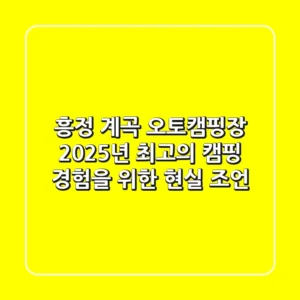 흥정 계곡 오토캠핑장, 2025년 최고의 캠핑 경험을 위한 현실 조언
