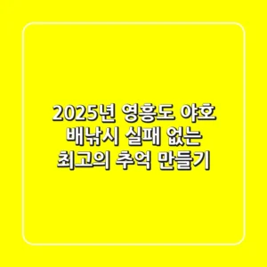 2025년 영흥도 야호 배낚시, 실패 없는 최고의 추억 만들기