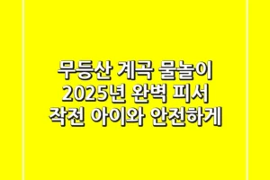 무등산 계곡 물놀이, 2025년 완벽 피서 작전 (아이와 안전하게!)