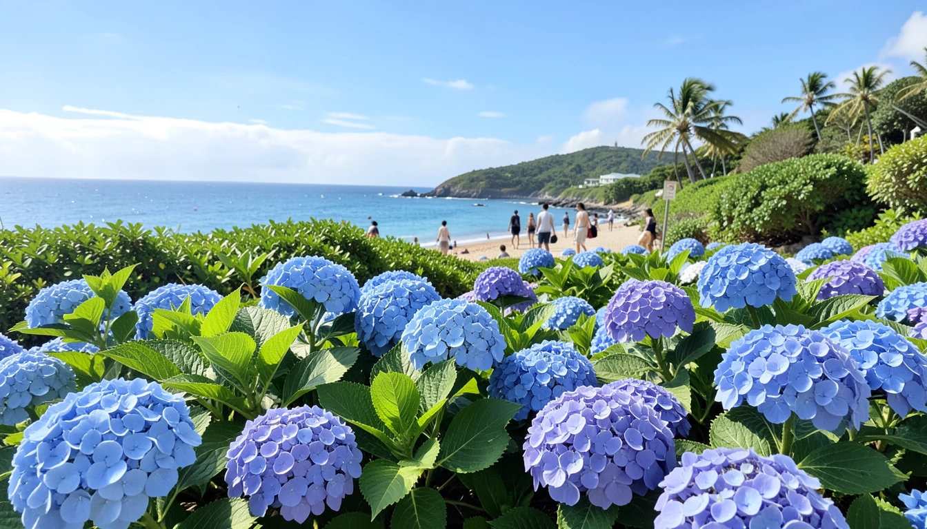 도초도 배편 완벽 가이드: 막힘없이 가는 길