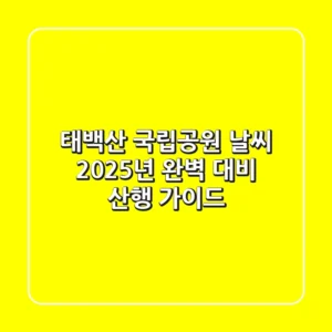 태백산 국립공원 날씨: 2025년 완벽 대비 산행 가이드