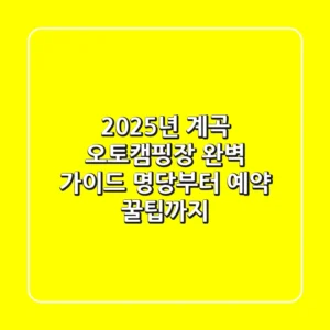 2025년 계곡 오토캠핑장 완벽 가이드: 명당부터 예약 꿀팁까지!