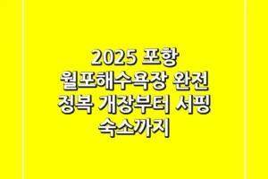 2025 포항 월포해수욕장 완전 정복: 개장부터 서핑, 숙소까지