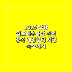 2025 포항 월포해수욕장 완전 정복: 개장부터 서핑, 숙소까지