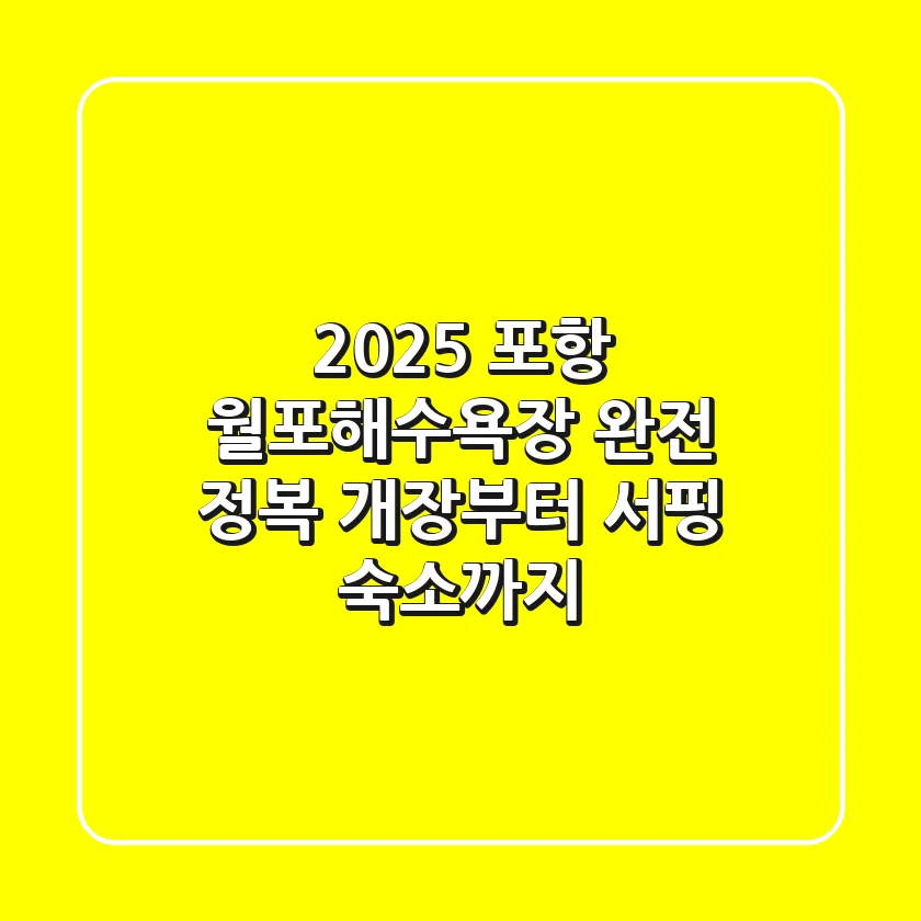 2025 포항 월포해수욕장 완전 정복: 개장부터 서핑, 숙소까지