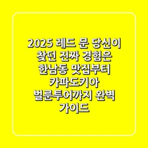 2025 레드 문, 당신이 찾던 진짜 경험은? (한남동 맛집부터 카파도키아 벌룬투어까지 완벽 가이드)
