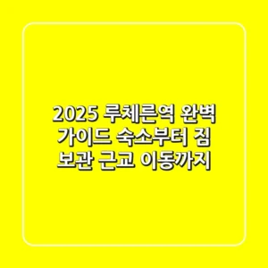 2025 루체른역 완벽 가이드: 숙소부터 짐 보관, 근교 이동까지!