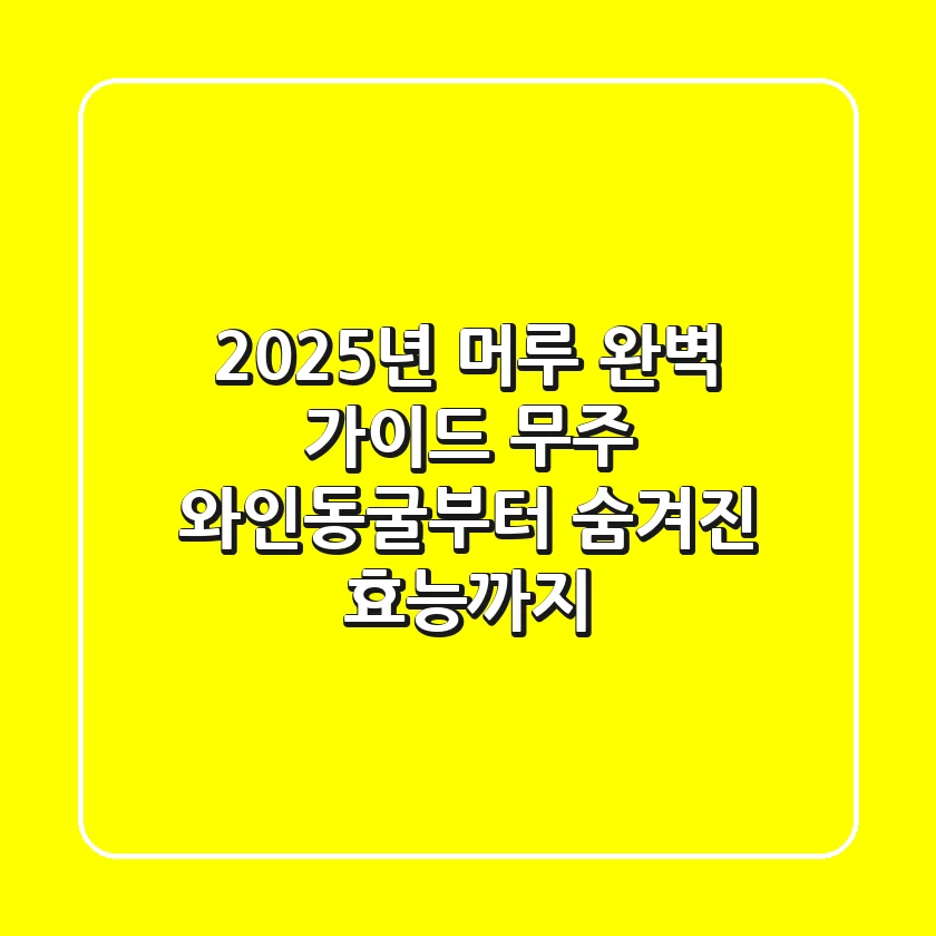 2025년 머루 완벽 가이드: 무주 와인동굴부터 숨겨진 효능까지