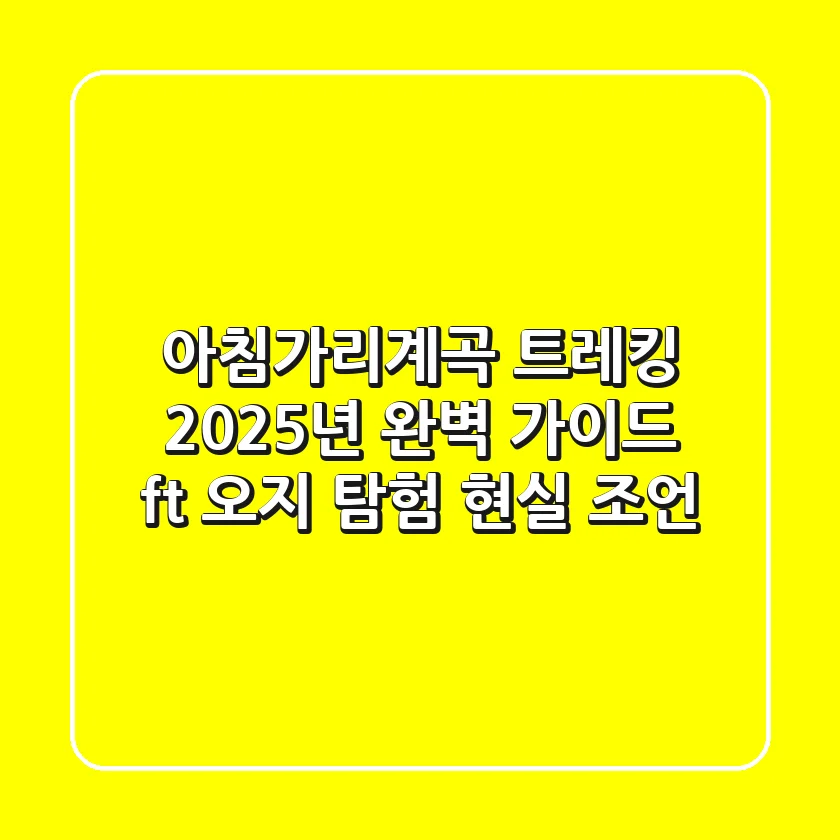 아침가리계곡 트레킹, 2025년 완벽 가이드 (ft. 오지 탐험 현실 조언)