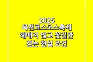 2025 북천코스모스축제, 헤매지 않고 ‘꽃길’만 걷는 현실 조언