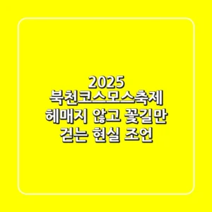 2025 북천코스모스축제, 헤매지 않고 '꽃길'만 걷는 현실 조언