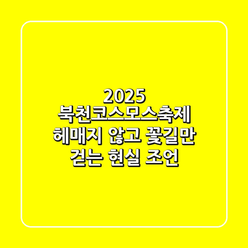 2025 북천코스모스축제, 헤매지 않고 '꽃길'만 걷는 현실 조언