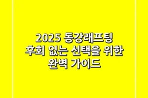 2025 동강래프팅, 후회 없는 선택을 위한 완벽 가이드