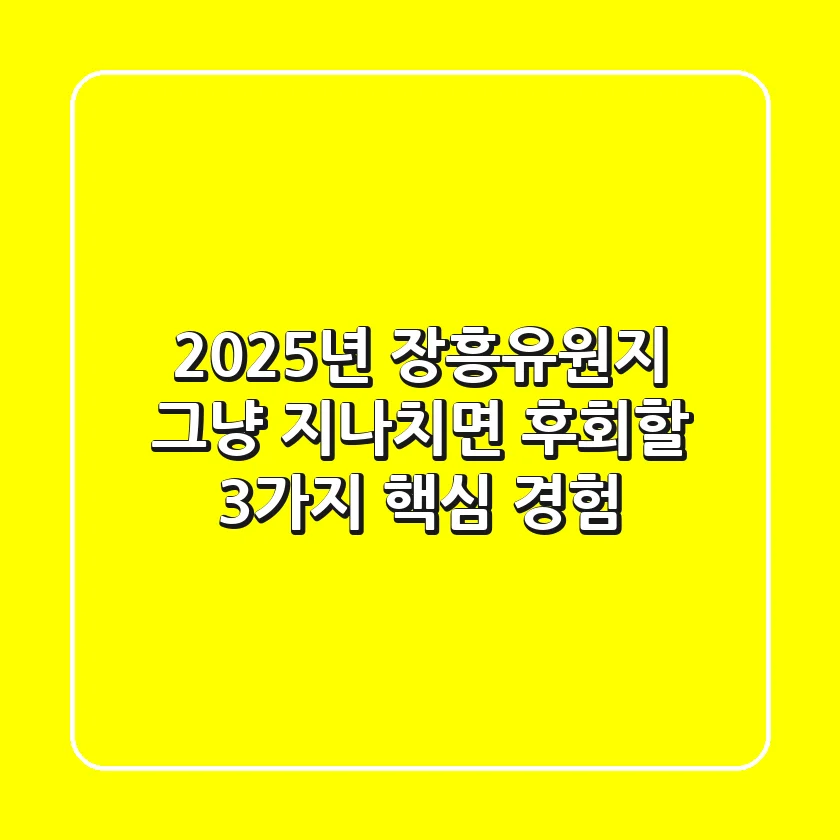 2025년 장흥유원지, 그냥 지나치면 후회할 3가지 핵심 경험!