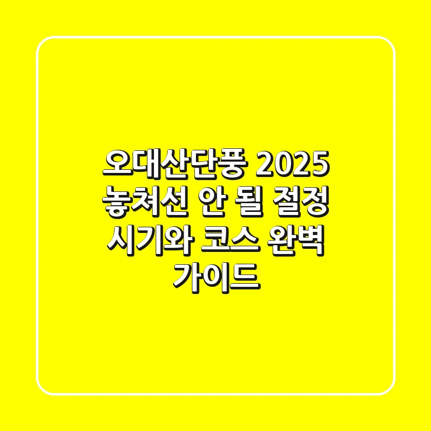 오대산단풍 2025, 놓쳐선 안 될 절정 시기와 코스 완벽 가이드